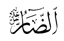 asma91
